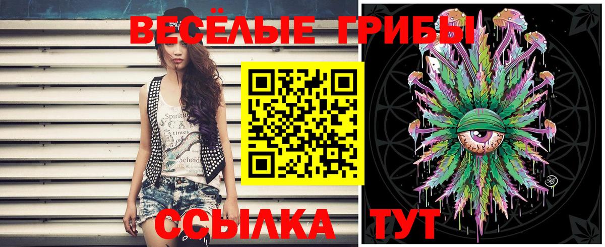 Галлюциногенные грибы Psilocybine cubensis Сызрань