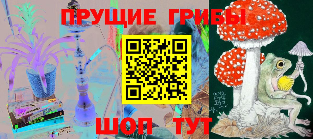 Сызрань  Псилоцибиновые грибы прущие грибы  Вход с VPN 